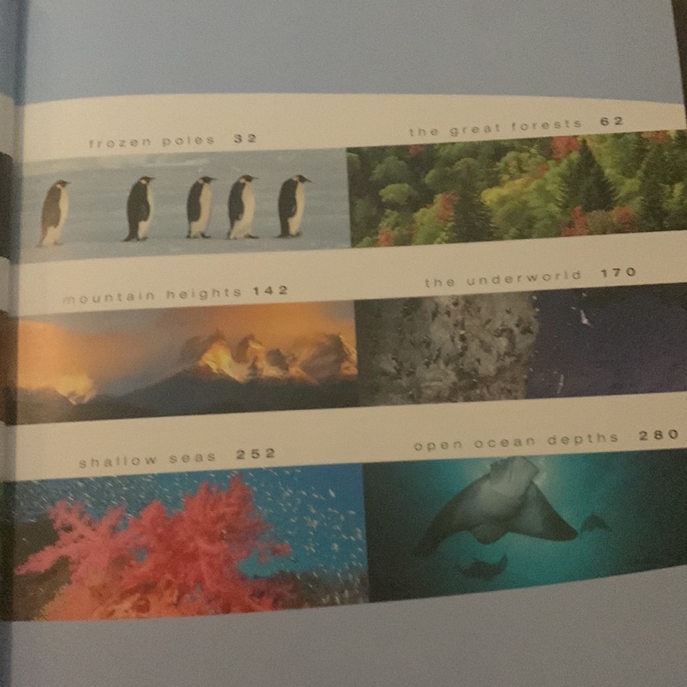 🌿Hardback Planet Earth Book 📚 🌎 - Picture 5 of 9